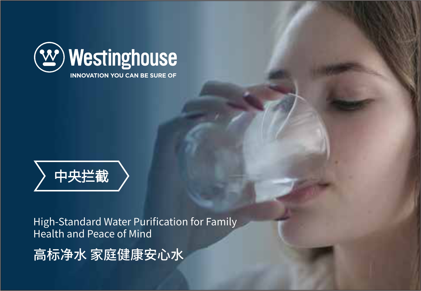 美国西屋 中央净水机