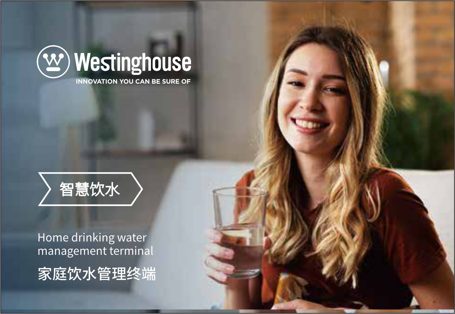 美国西屋  壁挂管线机